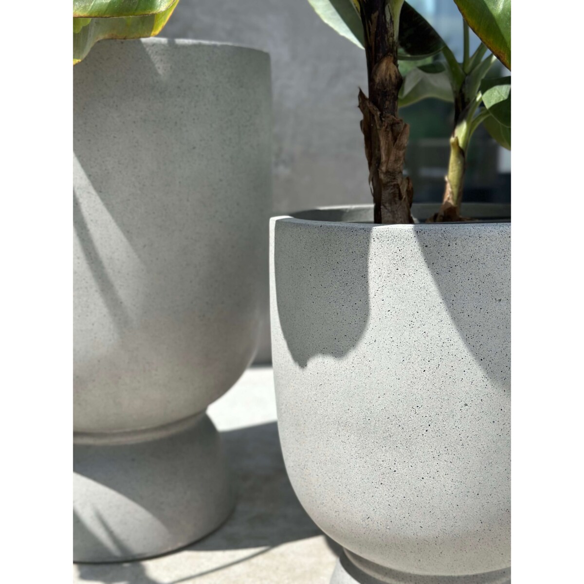 DONICZKA ODESSE LUXE S