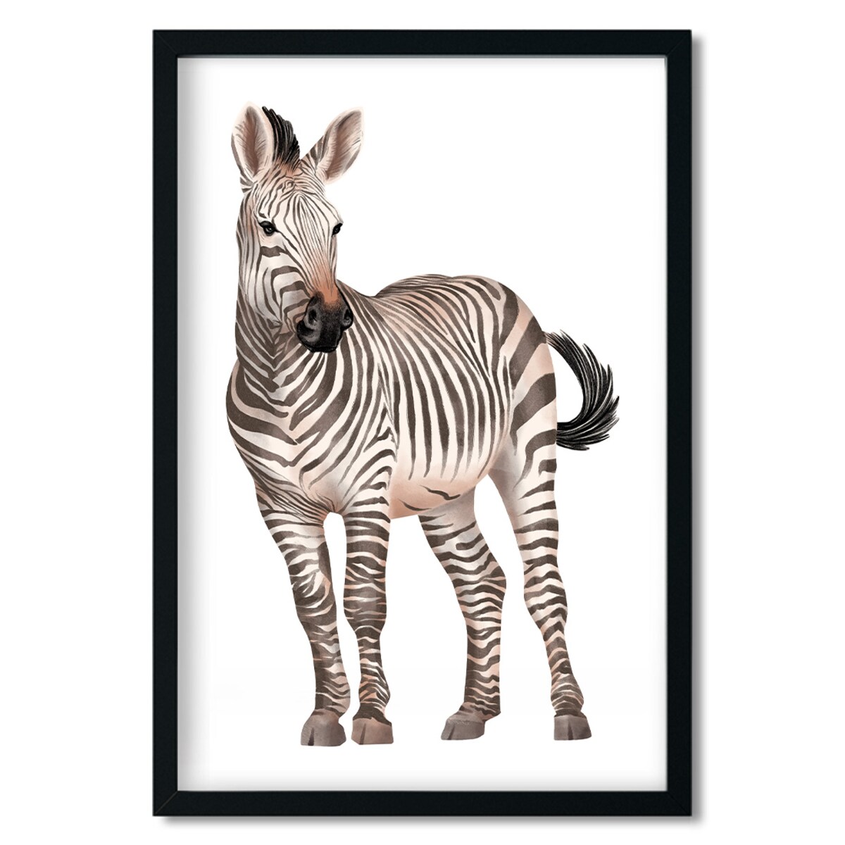 Plakat dla dzieci Zebra 40x50