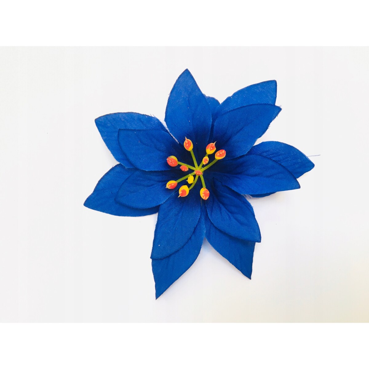 GWIAZDA betlejemska poinsecja niebieska na wianek choinka święta stroik 12x