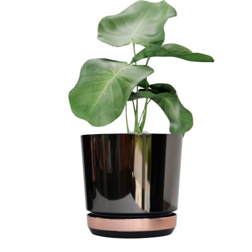 26 Doniczka DUO CZARNA z podstawką ŁOSOSIOWA dwukolorowa nowoczesna industrialny loft glamour wysoki połysk metaliczna elegancka