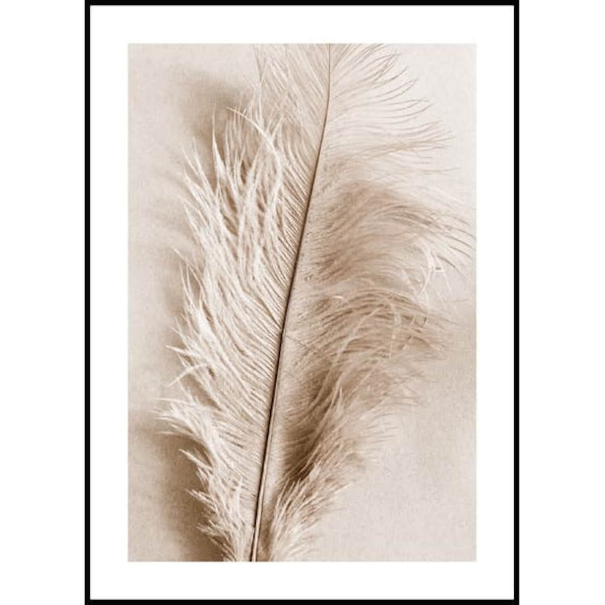 Poster Story, Plakat, Obraz - Piórko Boho, wymiary 70 x 100 cm