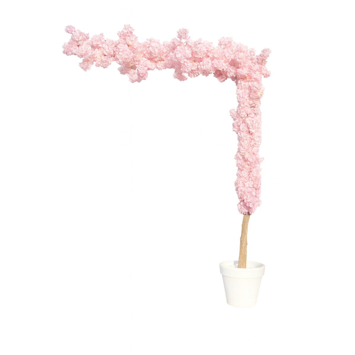 Instalacja/witryna z kwiatów jasny róż