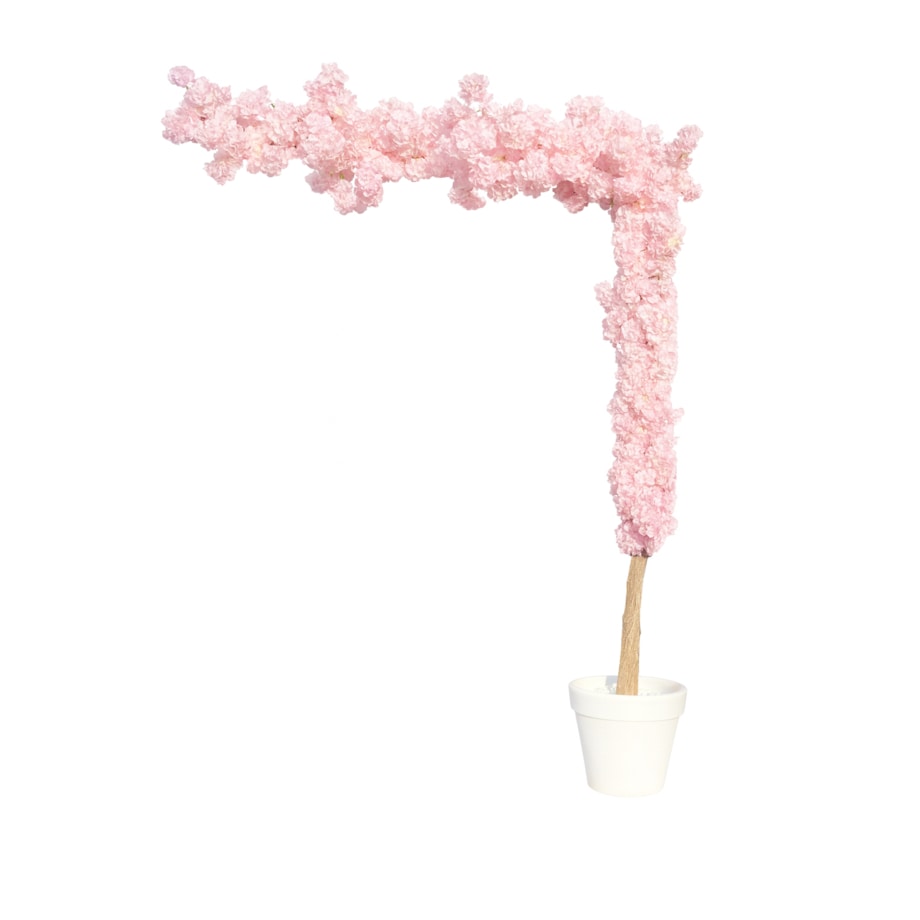 Instalacja/witryna z kwiatów jasny róż