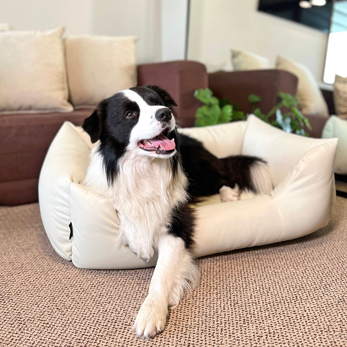 Legowisko dla psa z ekoskóry MARIO, 140x110 cm, Beż