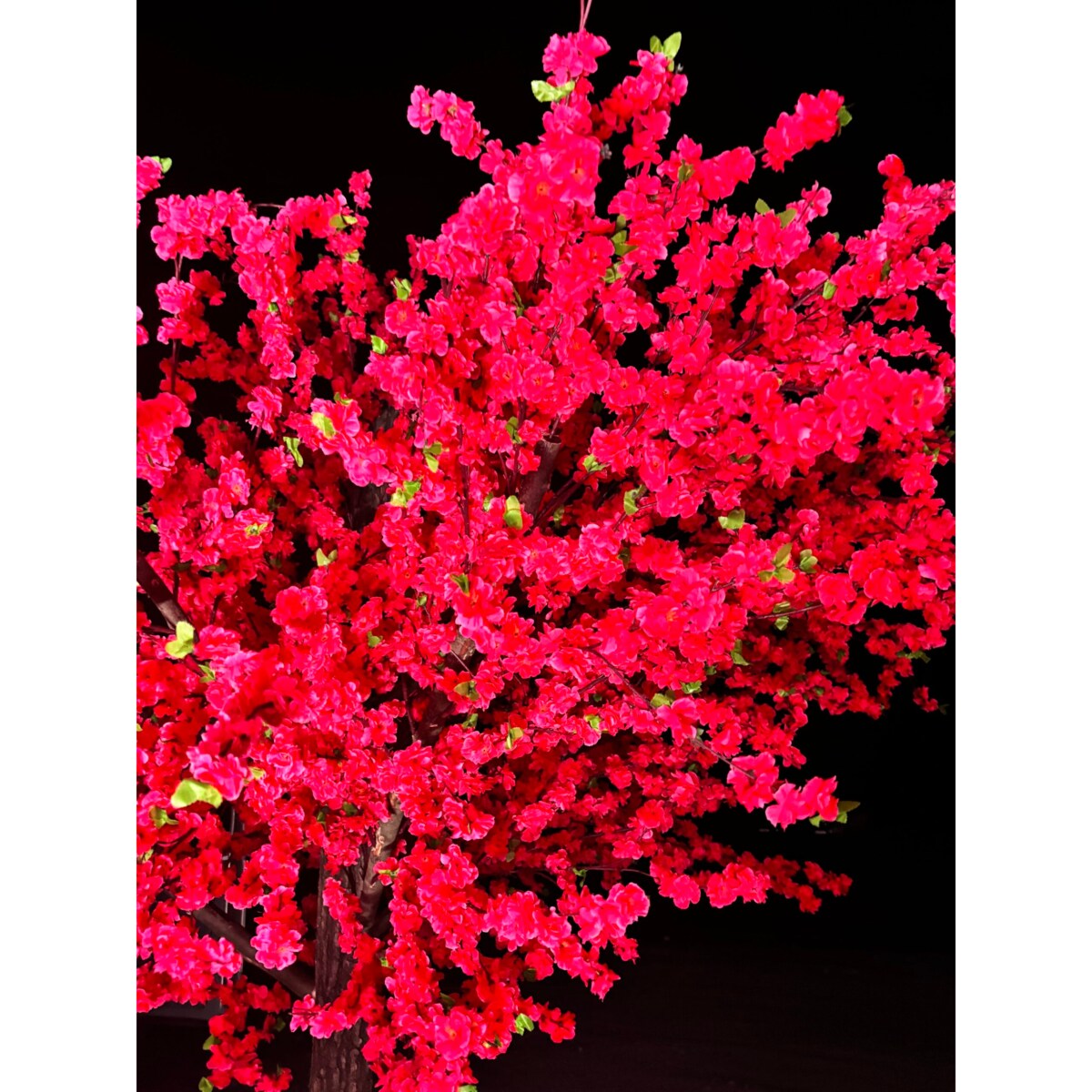 Drzewo kwitnącej wiśni 350 cm x 350 cm - olbrzymie