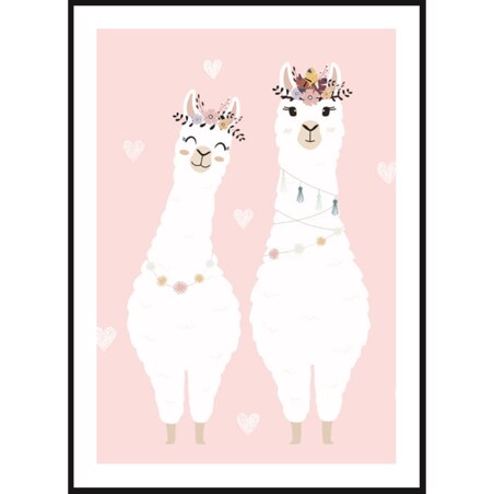Poster Story, Plakat, Obraz - Zabawne Alpaki, wymiary 70 x 100 cm