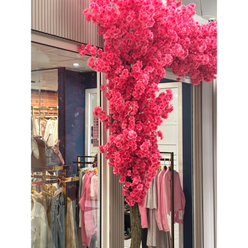 Instalacja / witryna fuksjowa z kwiatów wiśni 260cm