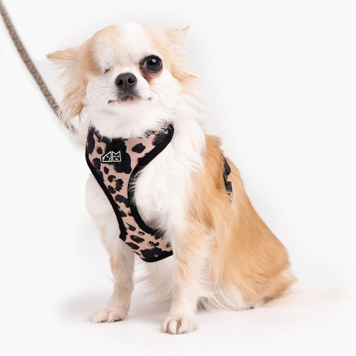 Szelki bezuciskowe Stay on "PANtera mi kupi" z panterkowym przodem - Szerokość taśmy: 25mm, Rozmiar: M