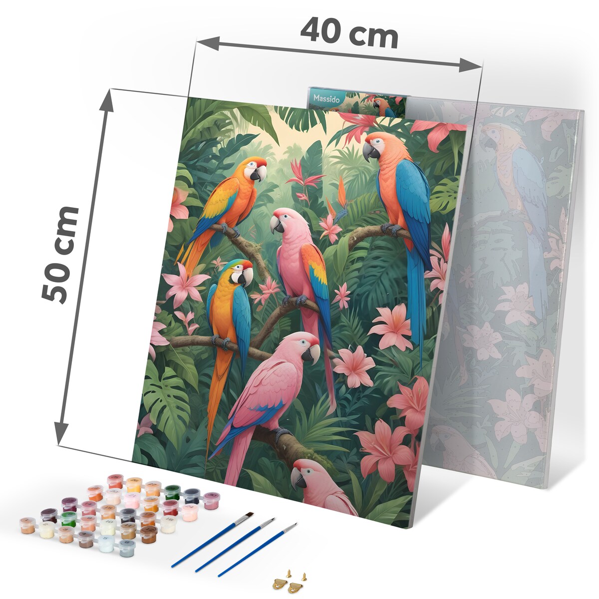 Malowanie po numerach obraz z ramą 40x50 Papugi Massido