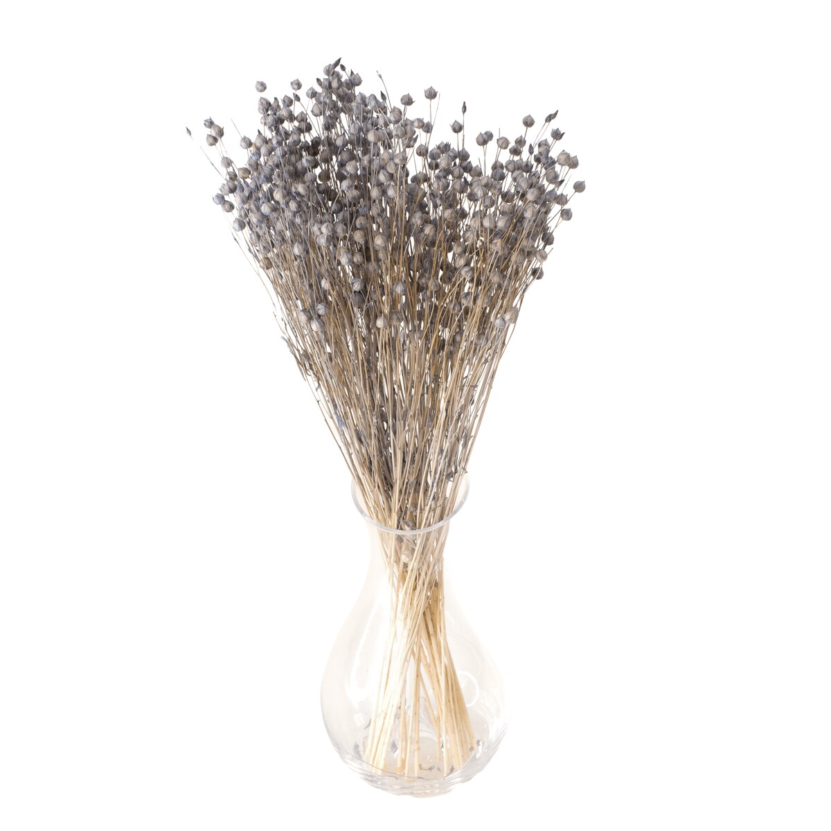 Suszony Len Niebieski (Denim)