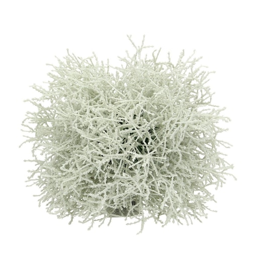 Dekoracja Grass ⌀20cm, 20 x 20 cm