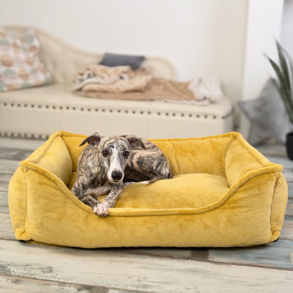 Ortopedyczne legowisko dla psa IRIS, 60x40 cm, Żółty