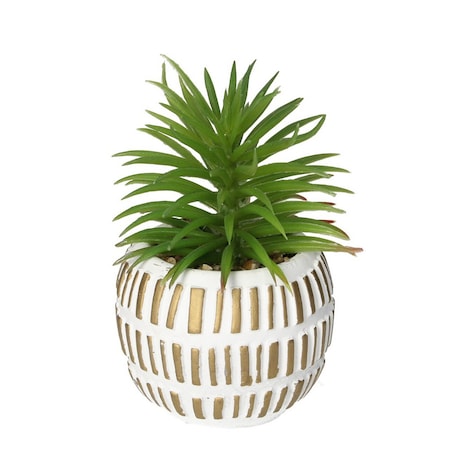 Dekoracja Sukulent w doniczce 13cm, 8 x 8 x 13 cm