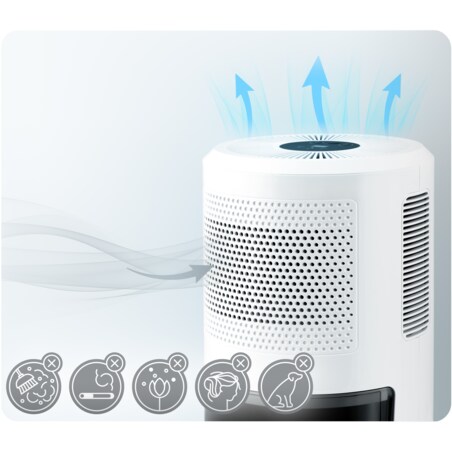 Osuszacz powietrza pochłaniacz wilgoci 60W timer led 353000 Berdsen