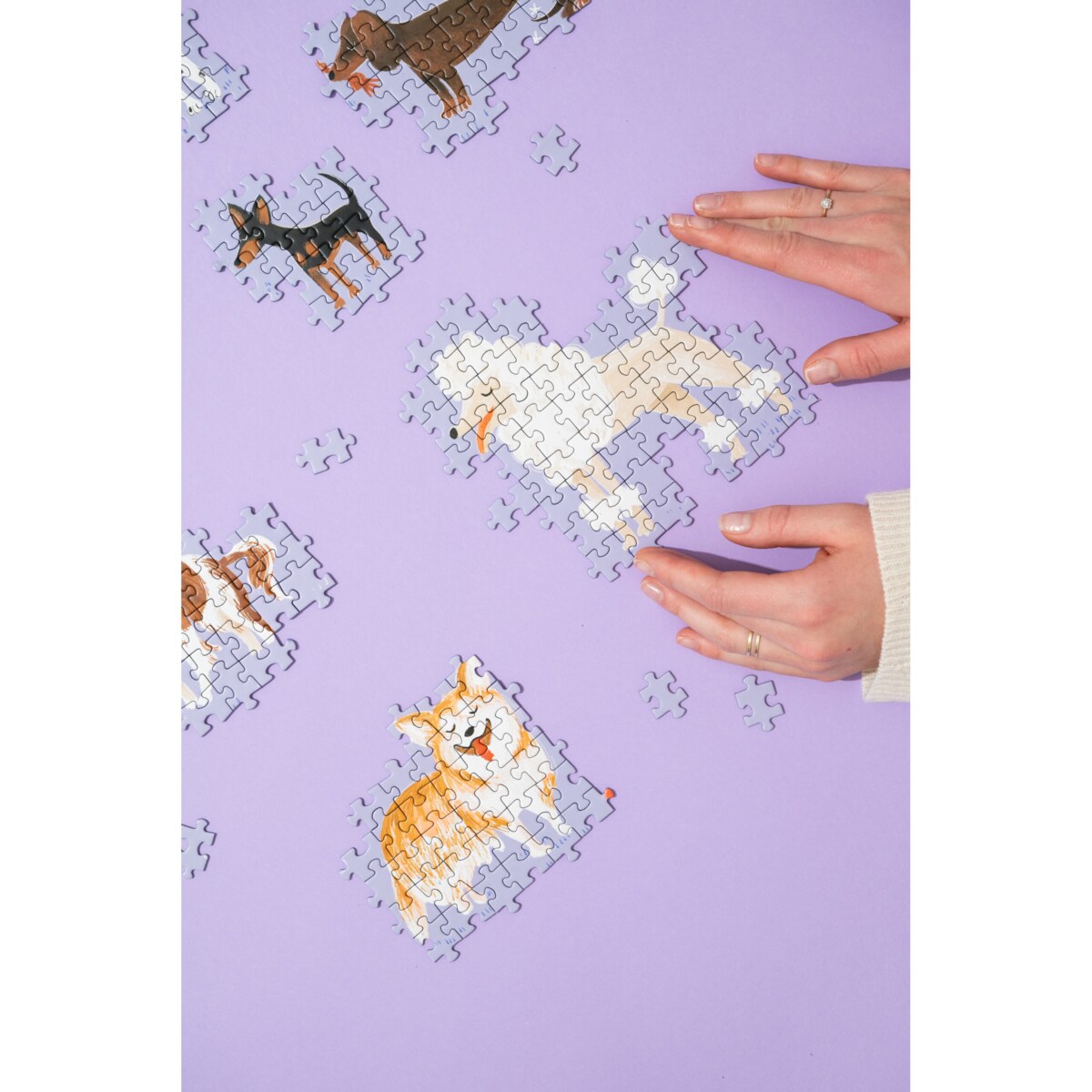 Muno Puzzle "Psinki" by Weronika Cholewa Puzzle z psami 1000 el. w ozdobnej tubie