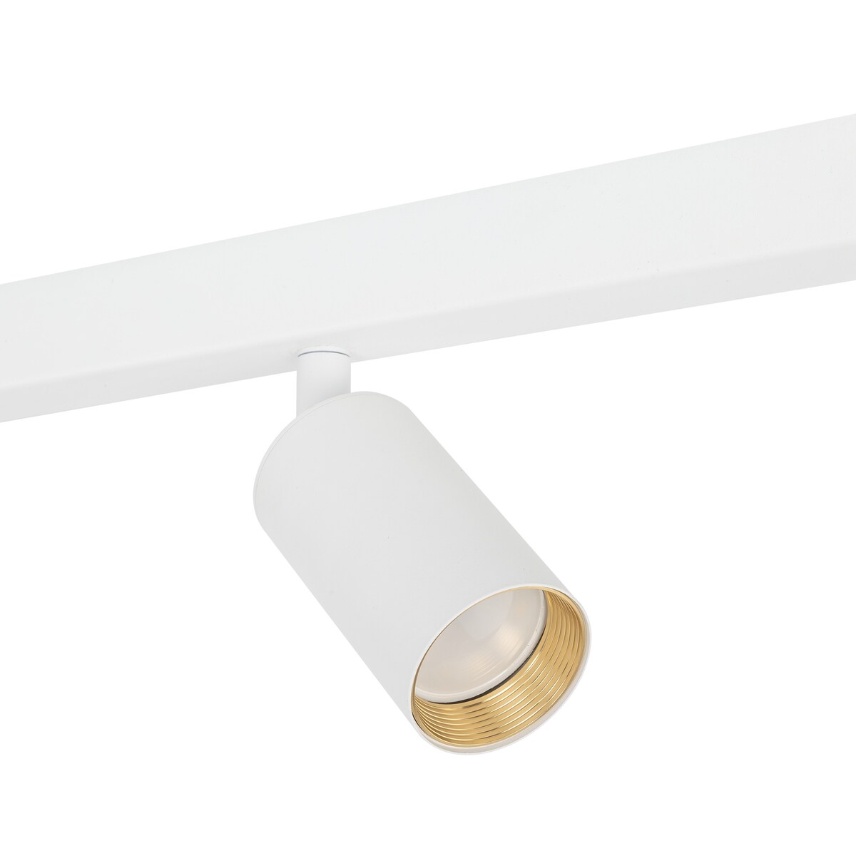 Lampa reflektor spot AMIS WHITE 4 TK Lighting biała złote akcenty 4xGU10 regulowana 127 cm