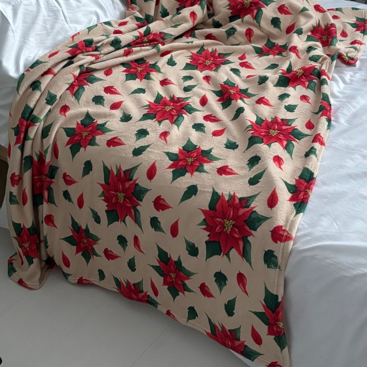 Koc świąteczny Gwiazdy Betlejemskie Poinsencje