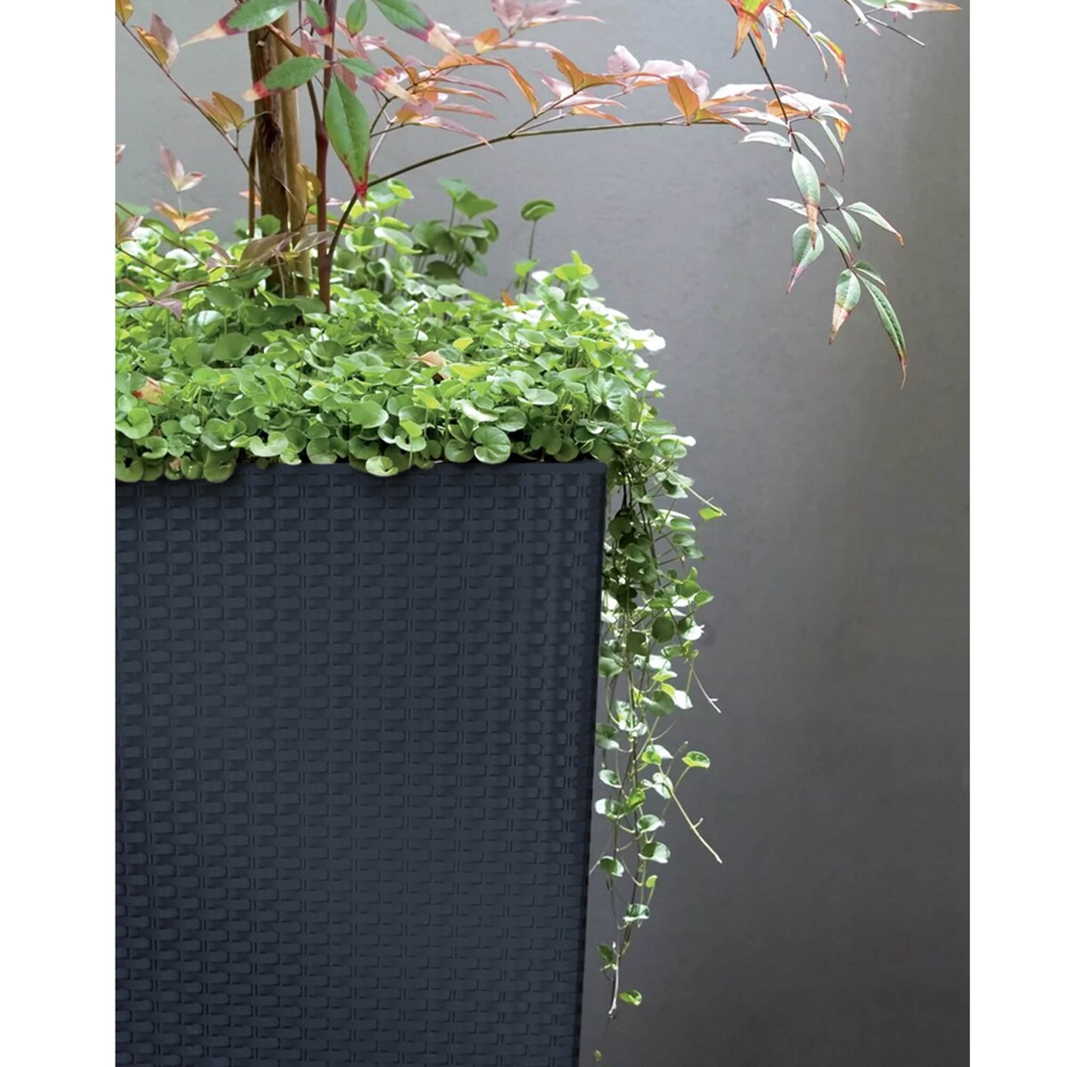 Doniczka Donica Ogrodowa Rattan Wysoka Wkład 42Cm