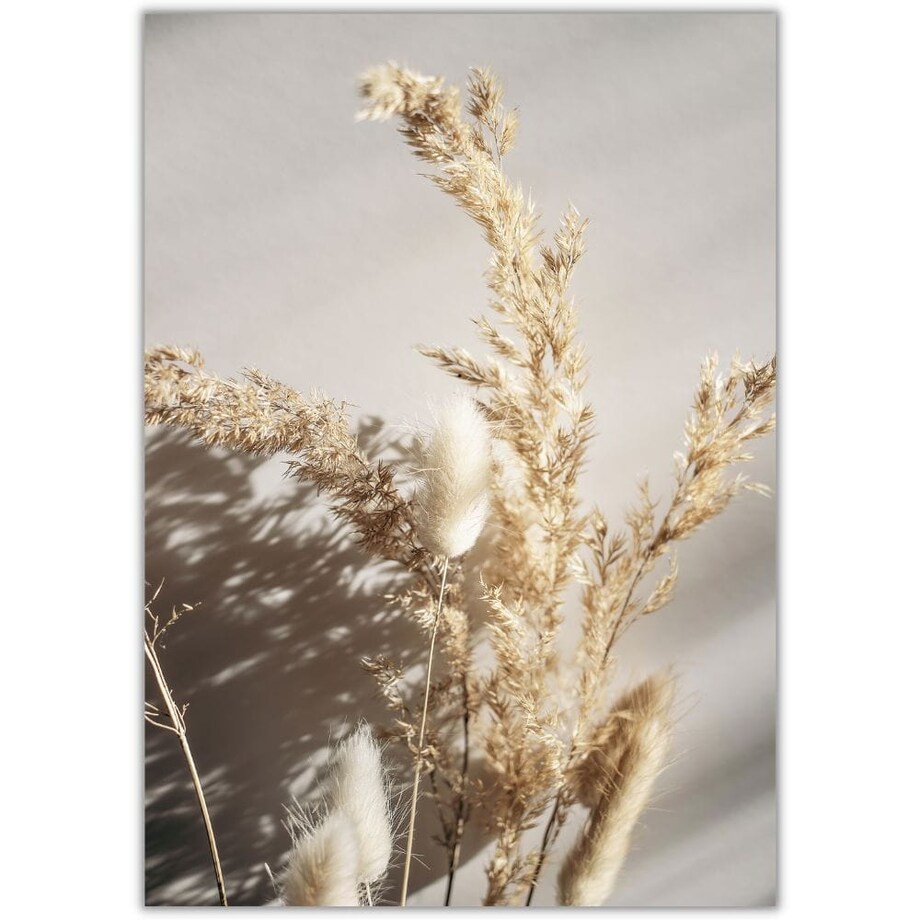 plakat suszona trawa bukiet 2 30x40 cm