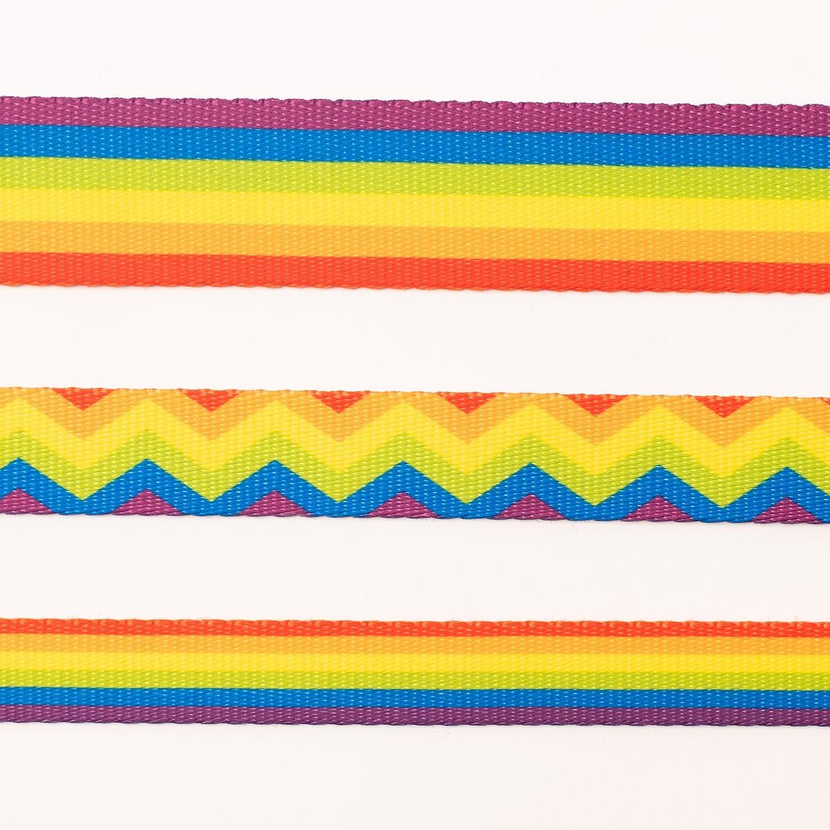 Obroża dla psa lub kota "Miłość, równość, gryzaki" - Szerokość taśmy: 20mm, Rozmiar: XS