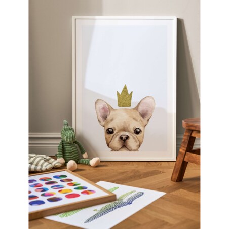 Poster Story, Plakat, Obraz - Buldog Francuski w Złotej Koronie, wymiary 50 x 70 cm