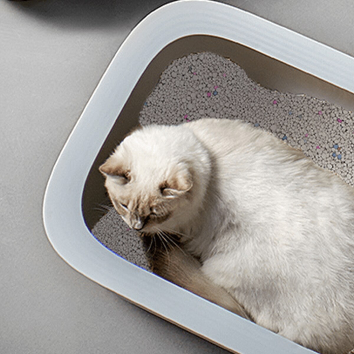 bentonitowy żwirek dla kota 3.2 kg 3.8l