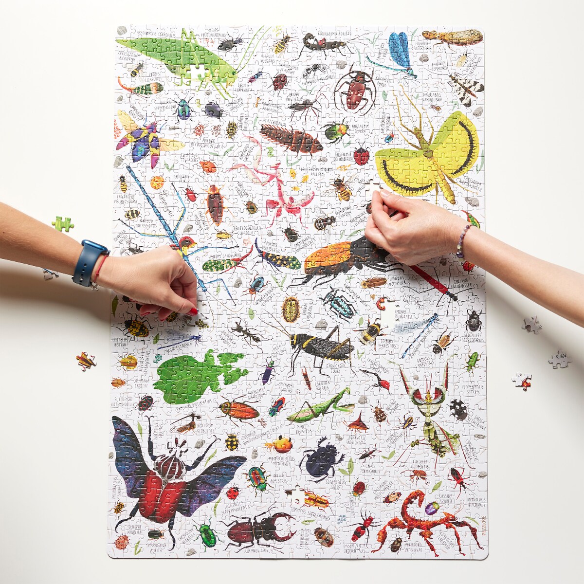 Puzzlove CzuCzu Owady 1000 el.