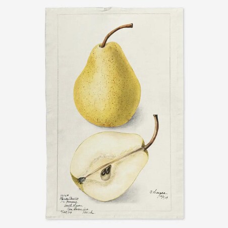 Lniany ręcznik kuchenny - żółta gruszka