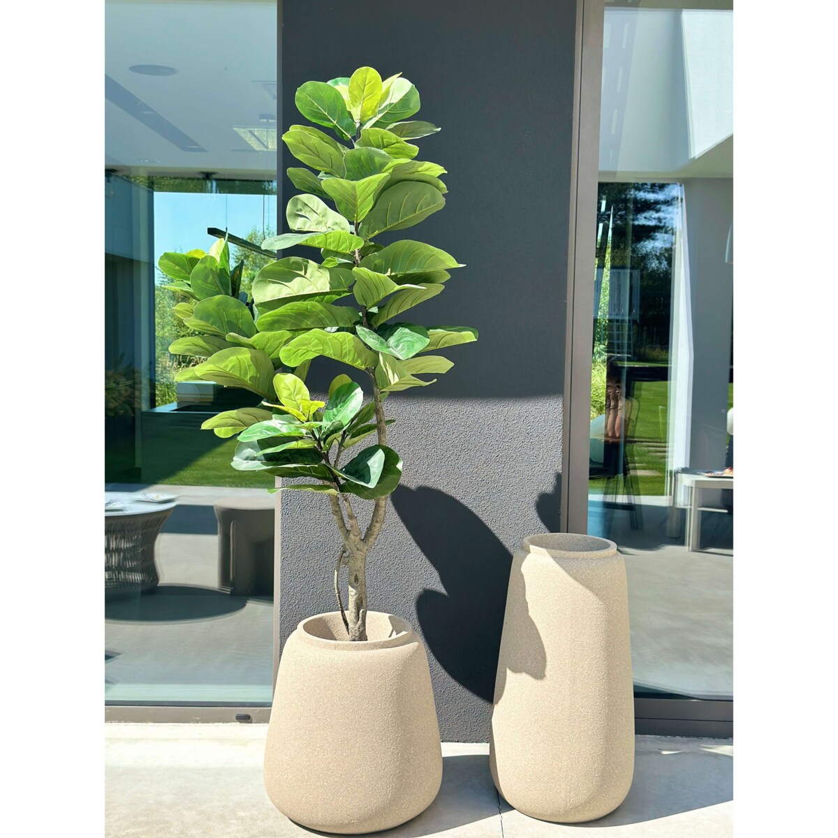 DUŻY FIKUS XXL - DEKORACJA INSPIROWANA NATURĄ