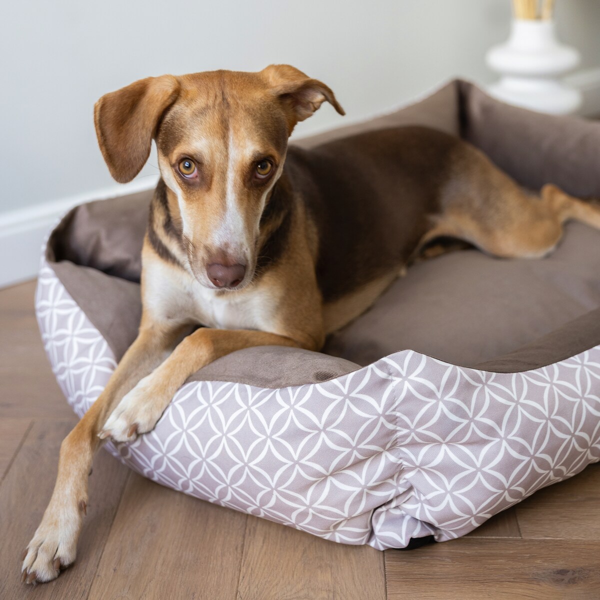 Stylowe legowisko dla kota OTTO, 60x40 cm, Brąz