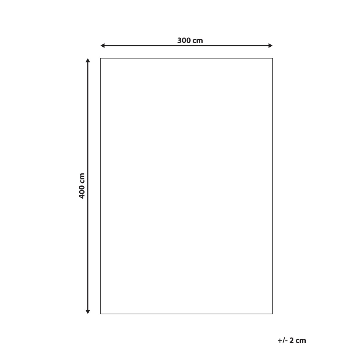 Dywan 300 x 400 cm beżowy NAKUS