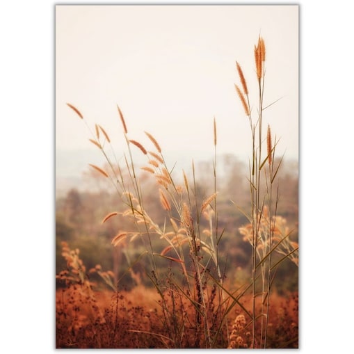 plakat jesienne trawy 70x100 cm