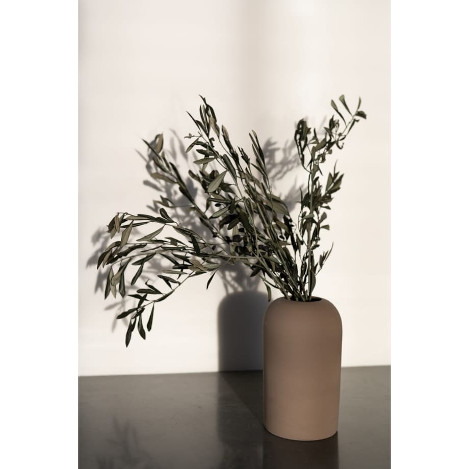 Stabilizowane Gałązki Oliwne