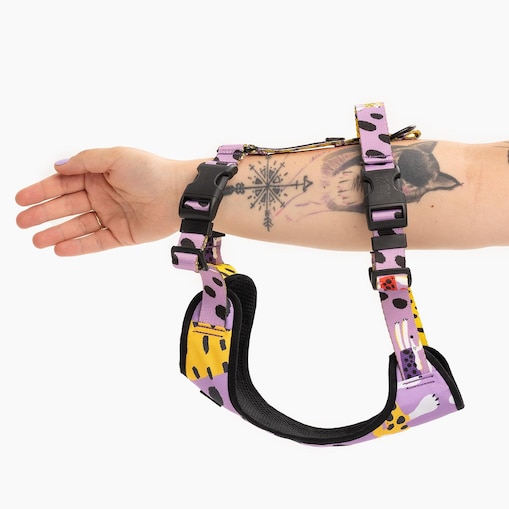 Szelki bezuciskowe Stay on "Pieski floreski" - Szerokość taśmy: 25mm, Rozmiar: L