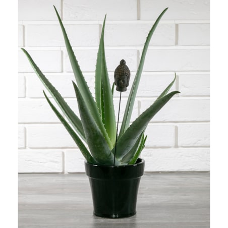 DONICA LEON czarna ceramiczna śr. 14cm