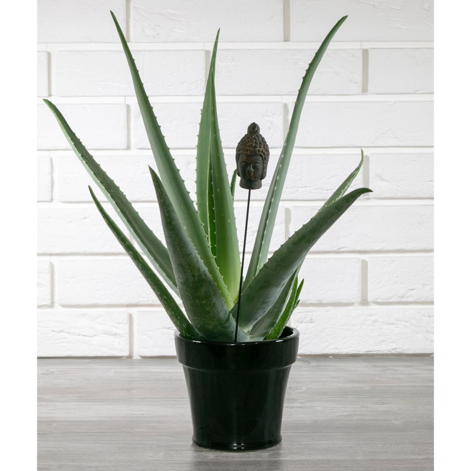 DONICA LEON czarna ceramiczna śr. 14cm