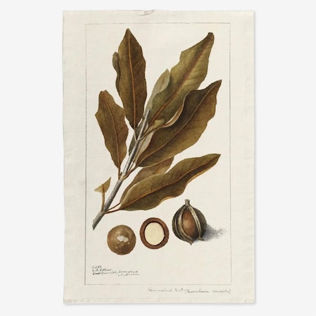 Lniany ręcznik kuchenny - Orzech macadamia