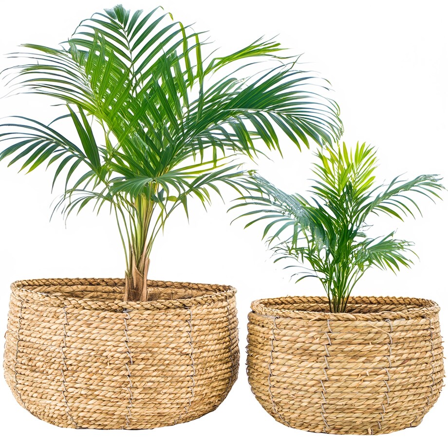 DONICZKA DO PALMY JUKI 2 szt. styl boho naturalna okrągła duża do salonu