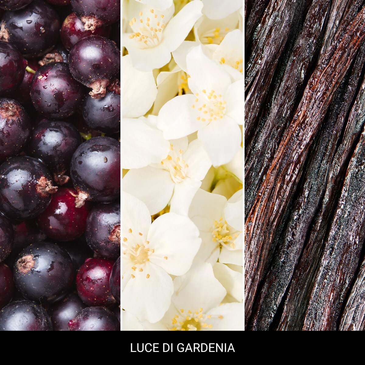 Millefiori LAUNDRY - Płyn zapachowy LUCE DI GARDEN