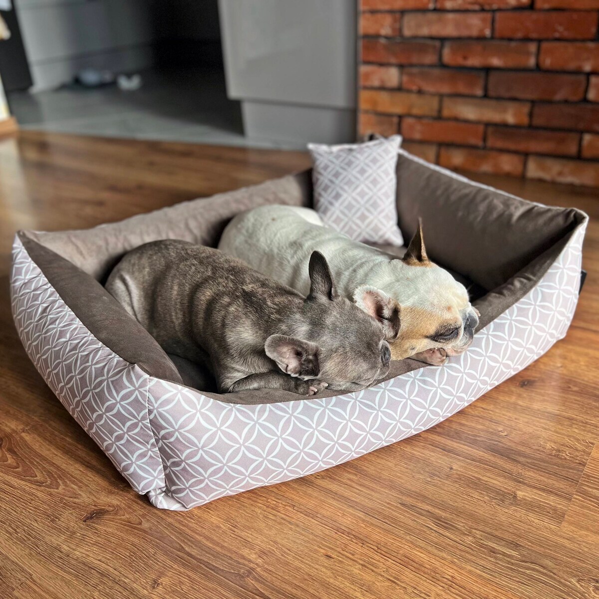 Stylowe legowisko dla kota OTTO, 60x40 cm, Brąz