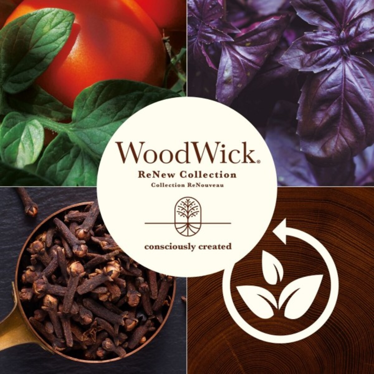 WoodWick świeca średnia TOMATO LEAF & BASIL