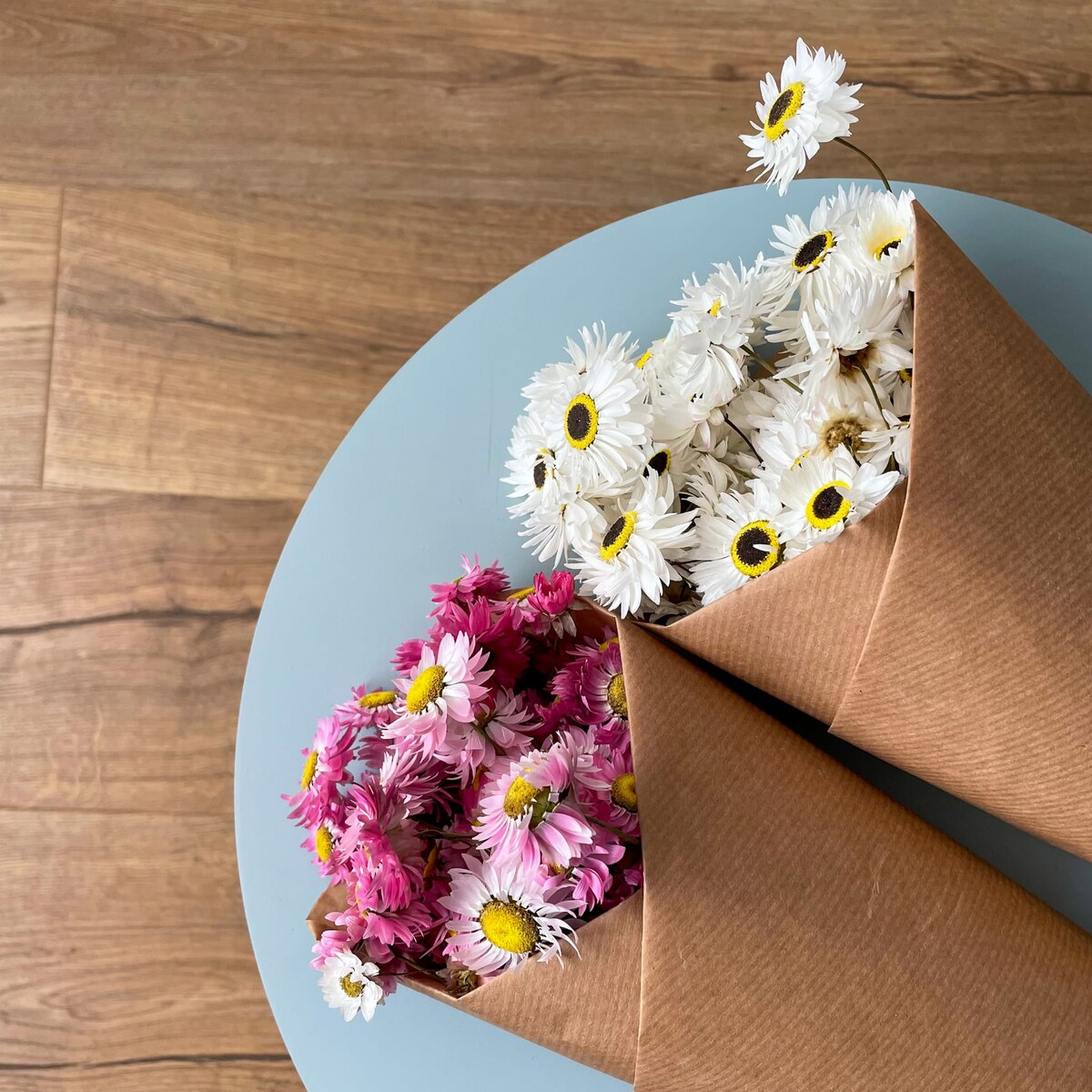 Suszone Acroclinium Różowe