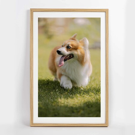 Ramka na zdjęcia 40x60 cm brązowa wisząca poziom pion rama MDF z plexi klasyczna ramka prostokątna