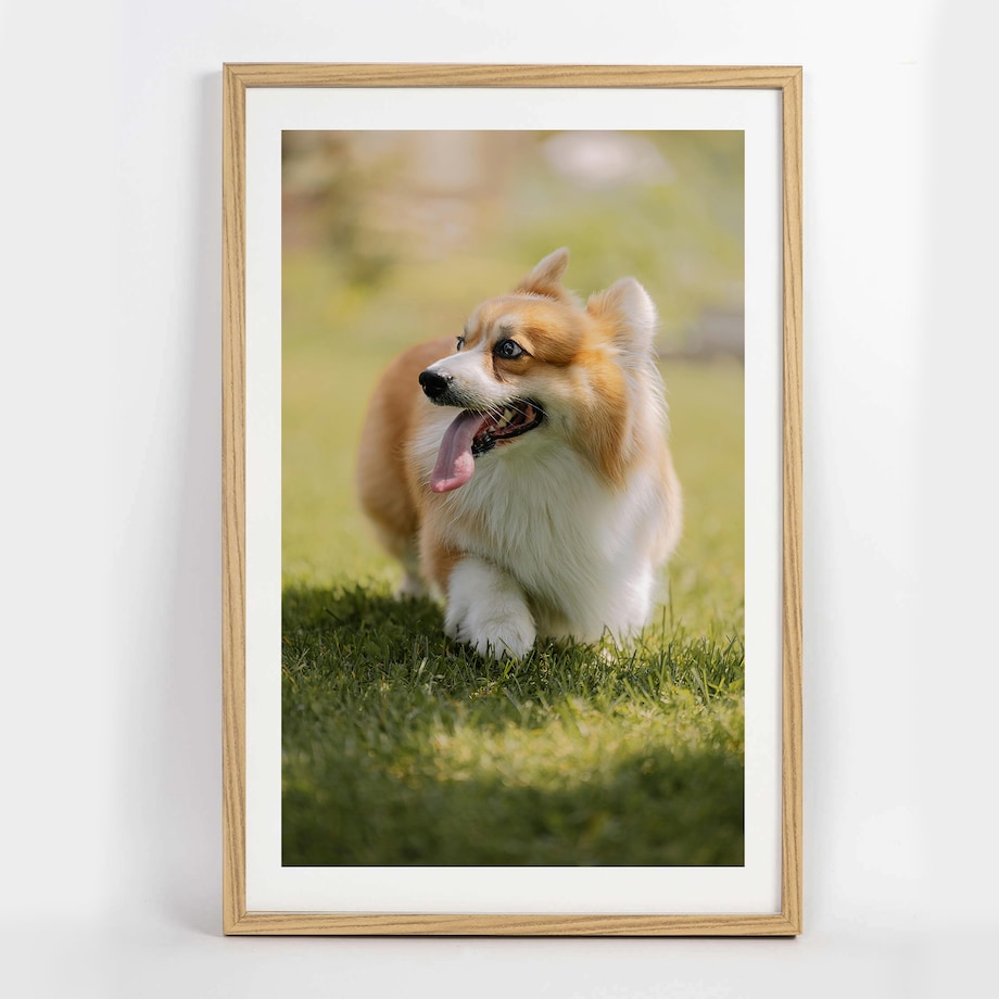 Ramka na zdjęcia 40x60 cm brązowa wisząca poziom pion rama MDF z plexi klasyczna ramka prostokątna