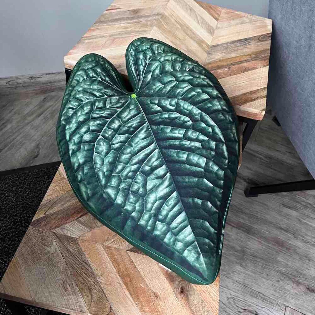 Poduszka Liść Anthurium Luxurians