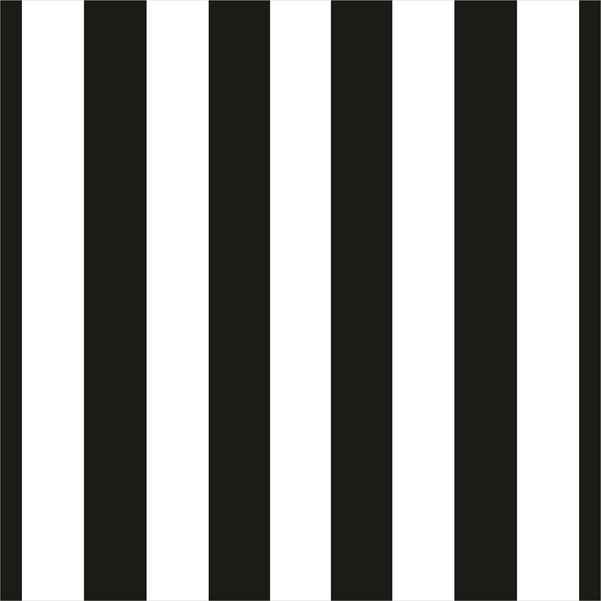 Zasłona BLACK & WHITE wzór CB16 | pionowe pasy - 150 x 260 cm