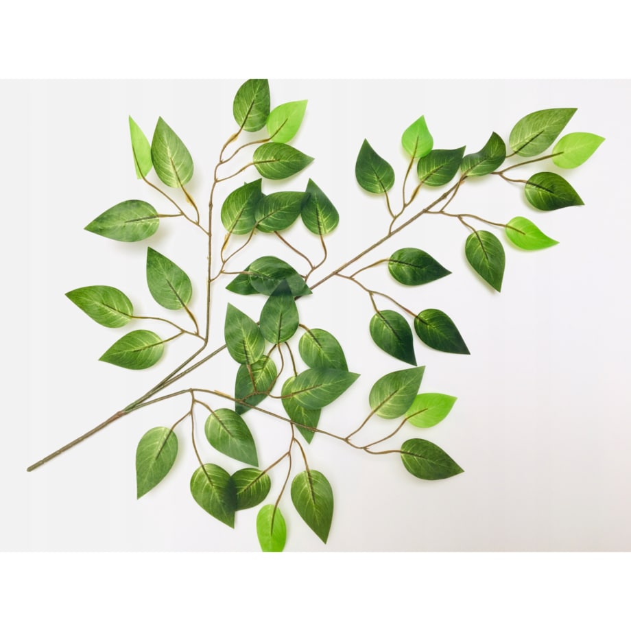 GAŁĄZKA FIKUS do stroiki bukiety dodatek LIŚĆ GUMOWANE DROBNE listki święta