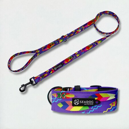 Zestaw: smycz i szeroka obroża, rozmiar S