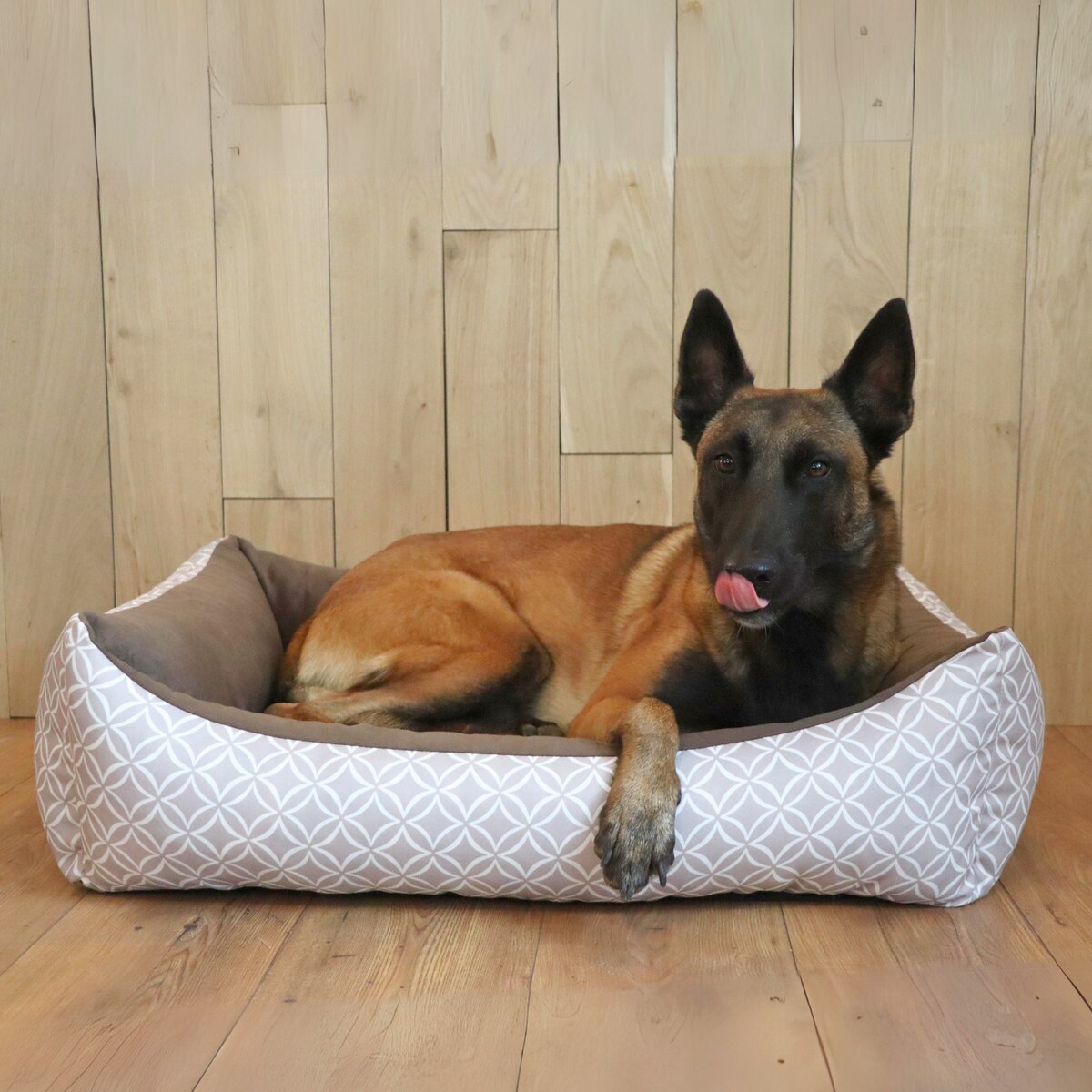 Stylowe legowisko dla kota OTTO, 60x40 cm, Brąz