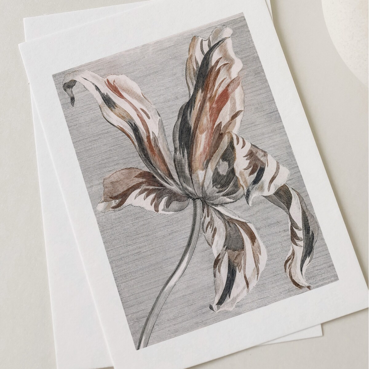 Plakat Tulipan 30x40cm